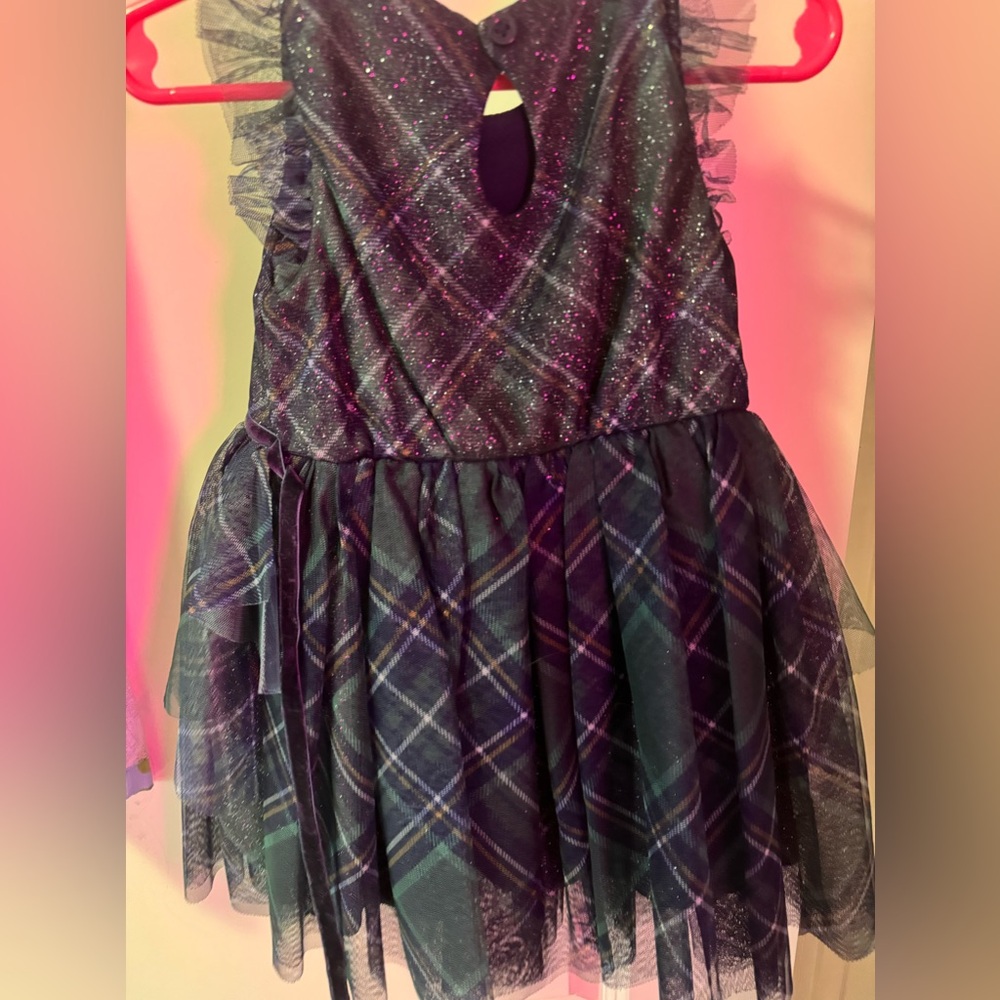 Zunie girl’s dress size 2T